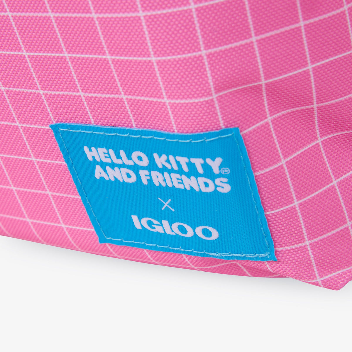 hello-kitty-and-friends-bff-mini-convertible-backpack-cooler-e6 00027591-L.jpg