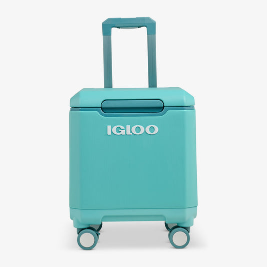 tag-along-too-spinner-cooler-s8 00033184-F1_b51e854c-365a-4272-b384-7c3dd41ac0b8.jpg