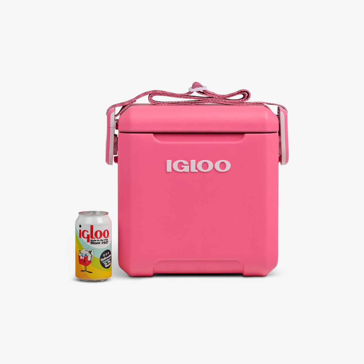 tag-along-too-remix-cooler-d1 00033199-P_861a5cd2-f15c-4217-a471-e33cc3890d9e.jpg