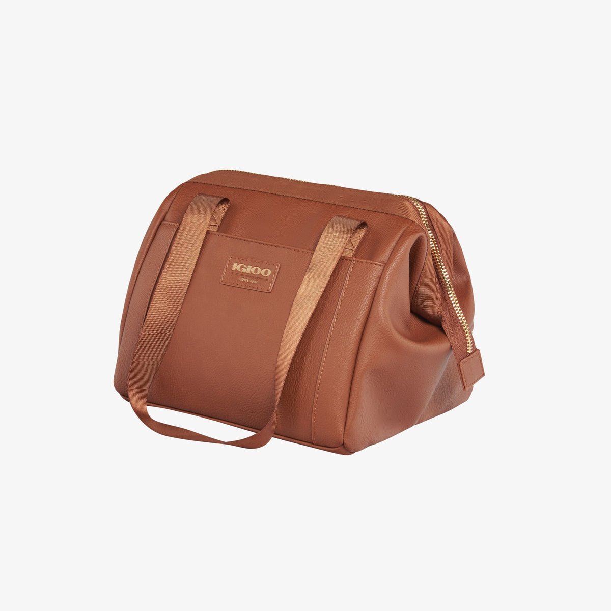 igloo-luxe-lunch-tote-cooler-bag-a2 00061160_2.jpg