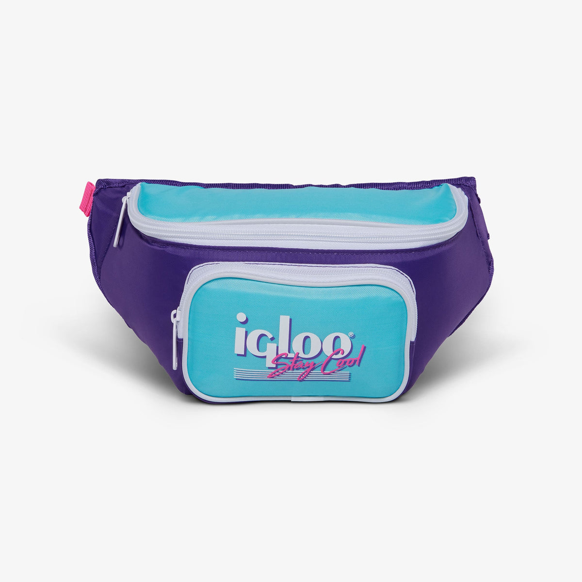 retro-fanny-pack-f2 00066056-F.jpg