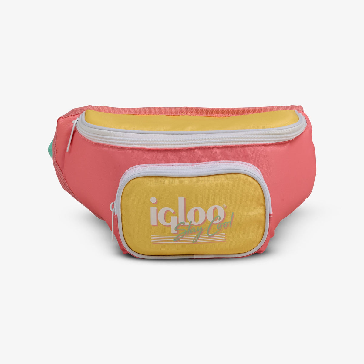 retro-fanny-pack-f2 00066660-F.jpg