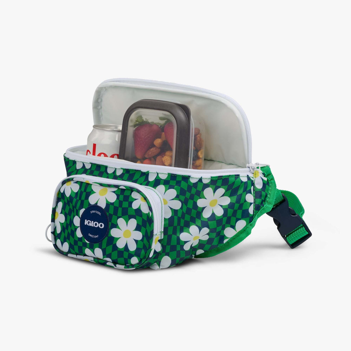 retro-fanny-pack-f2 00067206-P1.jpg