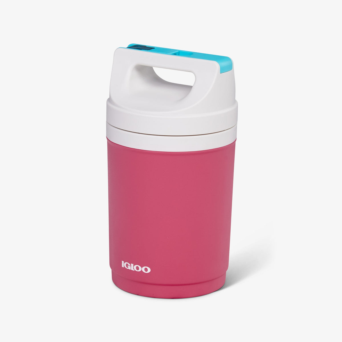 retro-playmate-half-gallon-jug-a3 00070862-H1.jpg